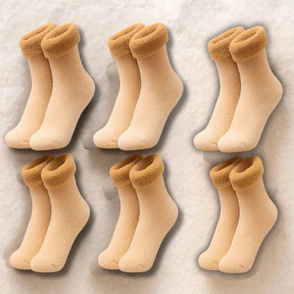 Medias Forradas - Peluche Baumont (Compra 3 LLEVA 6)