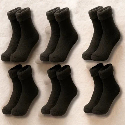 Medias Forradas - Peluche Baumont (Compra 3 LLEVA 6)