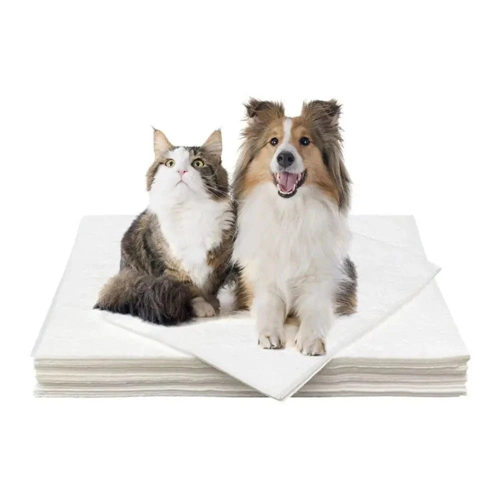 Papel Toalla Ultra Absorbente Xixipet - 50 unds