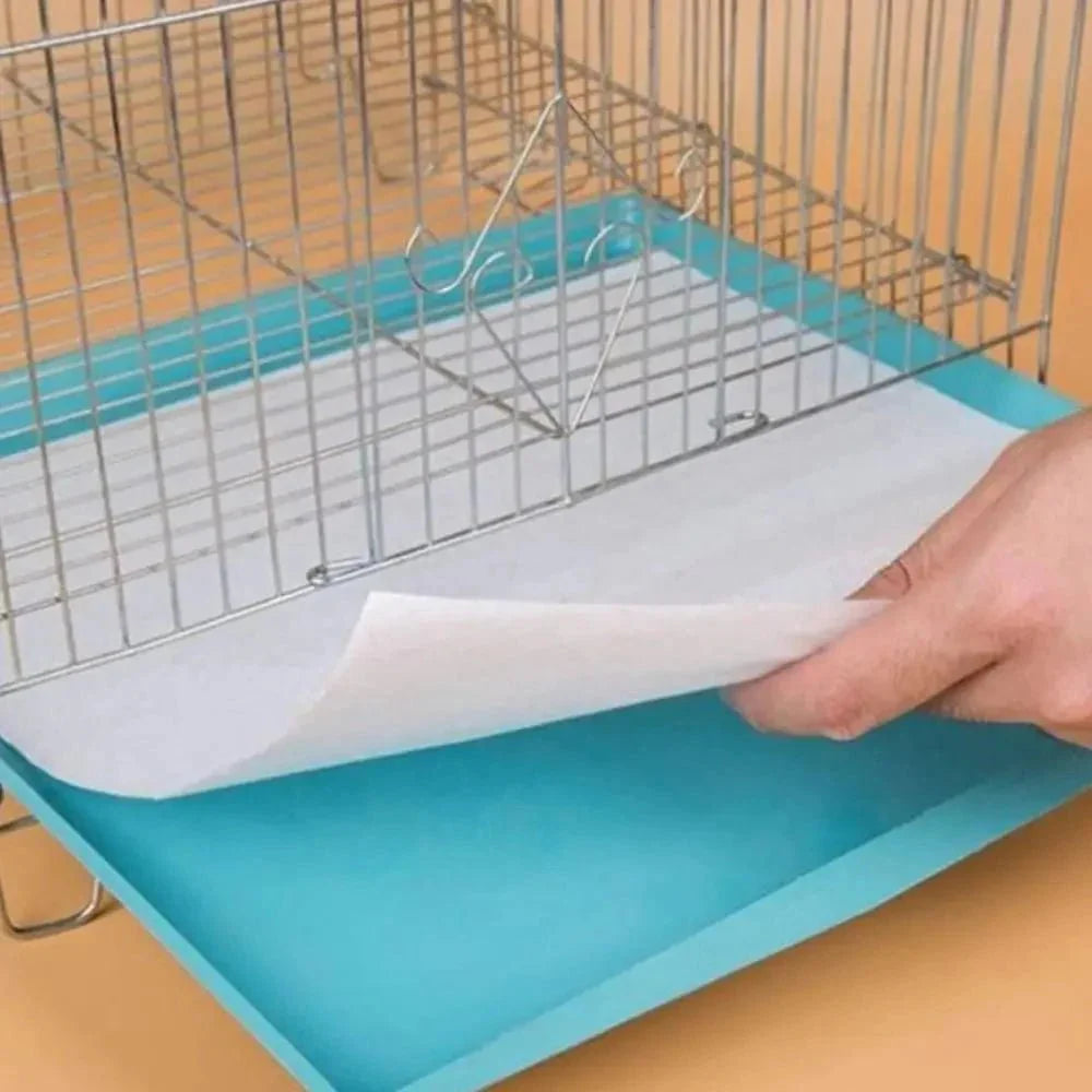 Papel Toalla Ultra Absorbente Xixipet - 50 unds