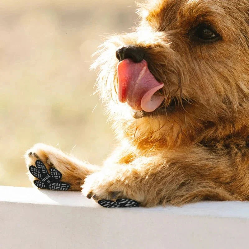 Protector de Patas PetSafe™ | Antideslizante y Transpirable para Perros y Gatos